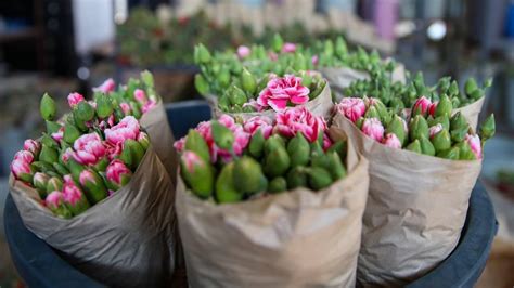 T­ü­r­k­i­y­e­­d­e­n­ ­8­3­ ­ü­l­k­e­y­e­ ­ç­i­ç­e­k­ ­i­h­r­a­c­a­t­ı­